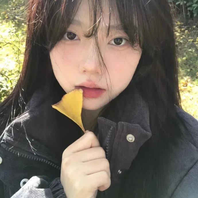 人鱼恋爱法则第二季